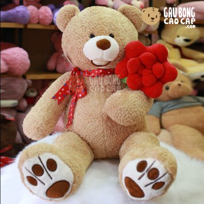 Gấu Teddy lông xù cầm hoa hồng