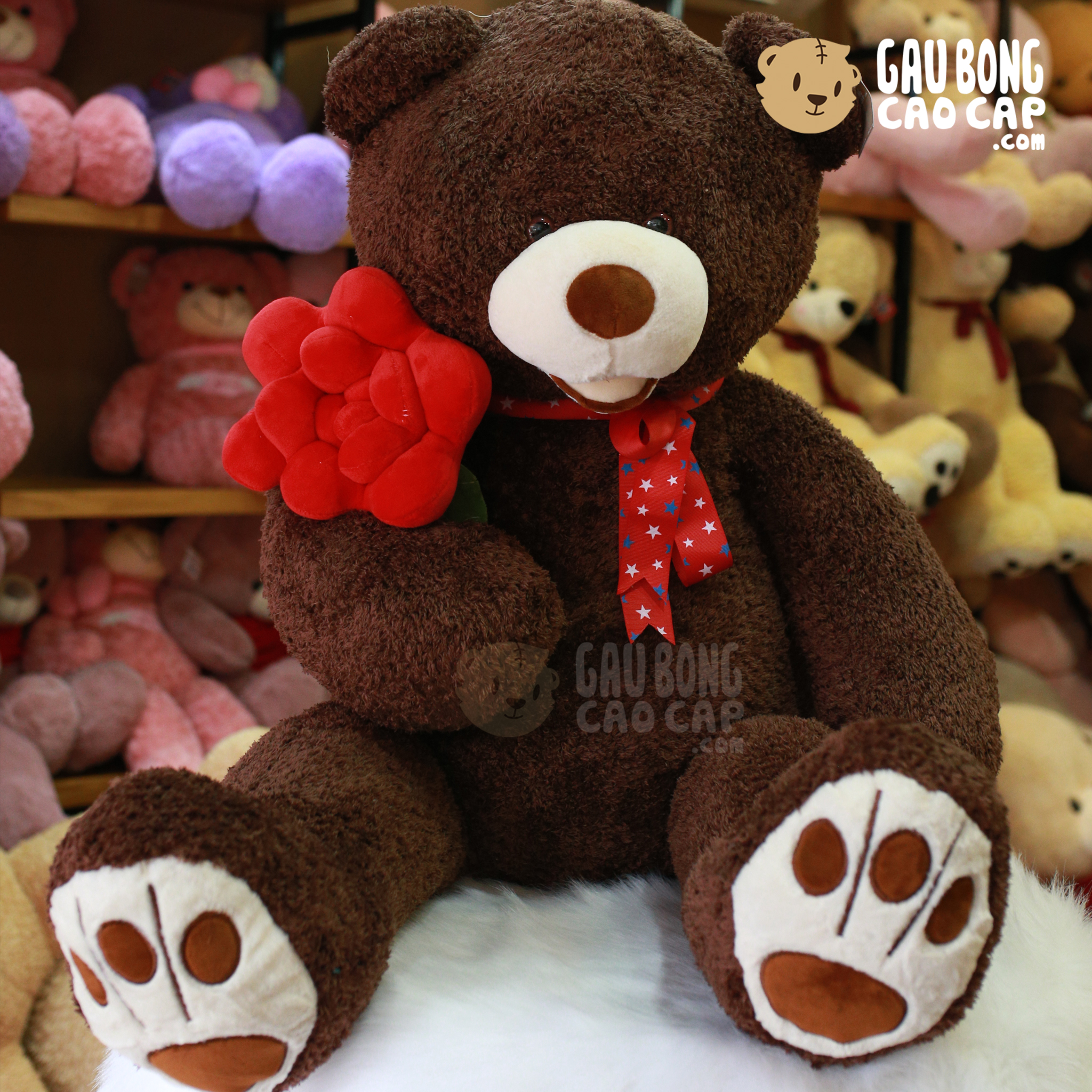 Gấu Teddy lông xù cầm hoa hồng
