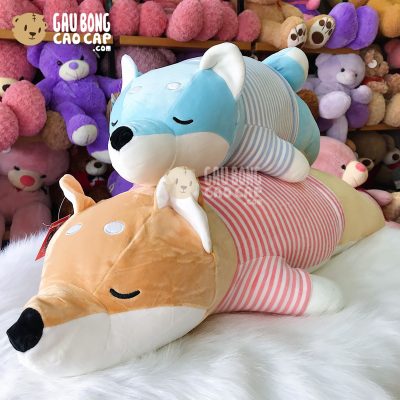Chó Bông Shiba mặc áo sọc