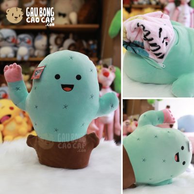 Gối mền 2in1 Cây Xương Rồng