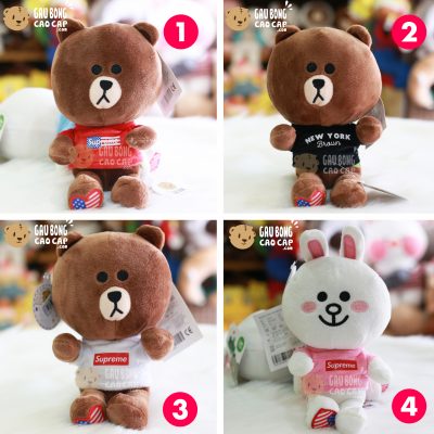 Gấu Brown, Cony mặc áo Hoodie