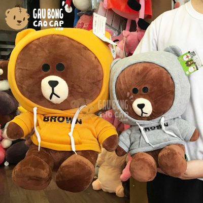 Gấu Brown mặc áo Hoodie