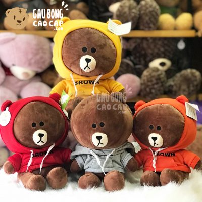 Gấu Brown mặc áo Hoodie