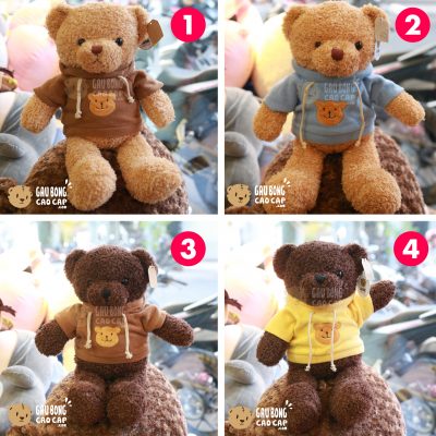 Gấu Teddy lông xù mặc áo Hoodie