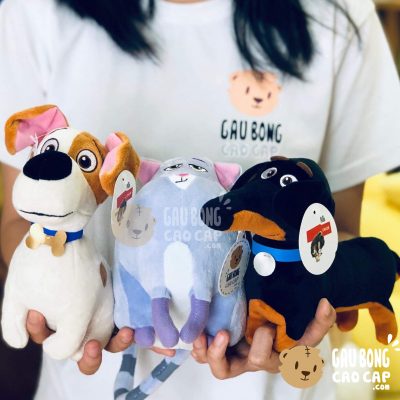 Đẳng Cấp Thú Cưng PETS