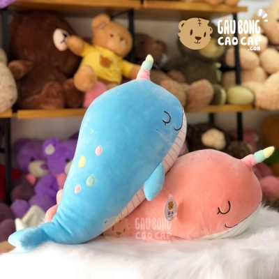 Cá voi bông sừng cầu Vồng