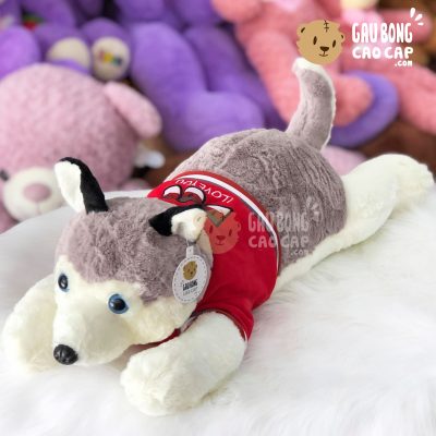 Chó bông Husky mặc áo thun đỏ I Love You