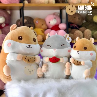 Chuột Bông Hamster lông mịn cầm đồ ăn