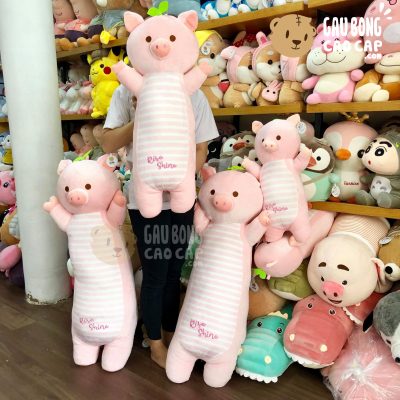 Heo bông Đứng Rise Shine mọc Mầm Xanh