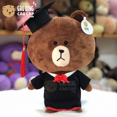Gấu Brown Tốt Nghiệp