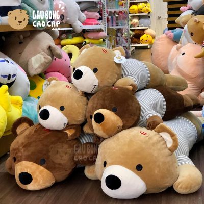 Gấu nằm mặc áo sọc Love You