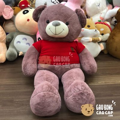 Gấu Teddy Hồng lông Smooth mặc áo len logo Chân Gấu