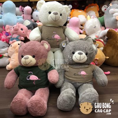 Gấu Teddy lông smooth mặc áo len hồng hạc
