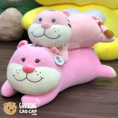 Hổ Bông nằm baby