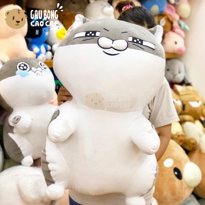 Mèo Bông Ami đứng lông mịn