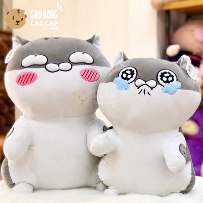 Mèo Bông Ami đứng lông mịn