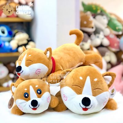 Chó bông Shiba nằm má Hồng xoắn ốc