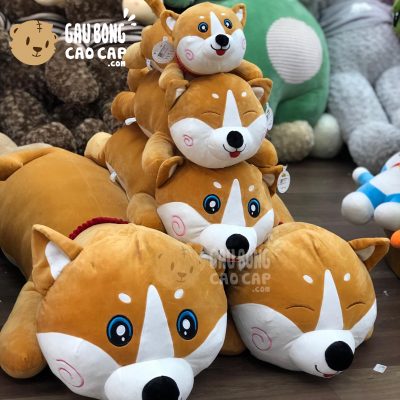 Chó bông Shiba nằm má Hồng xoắn ốc