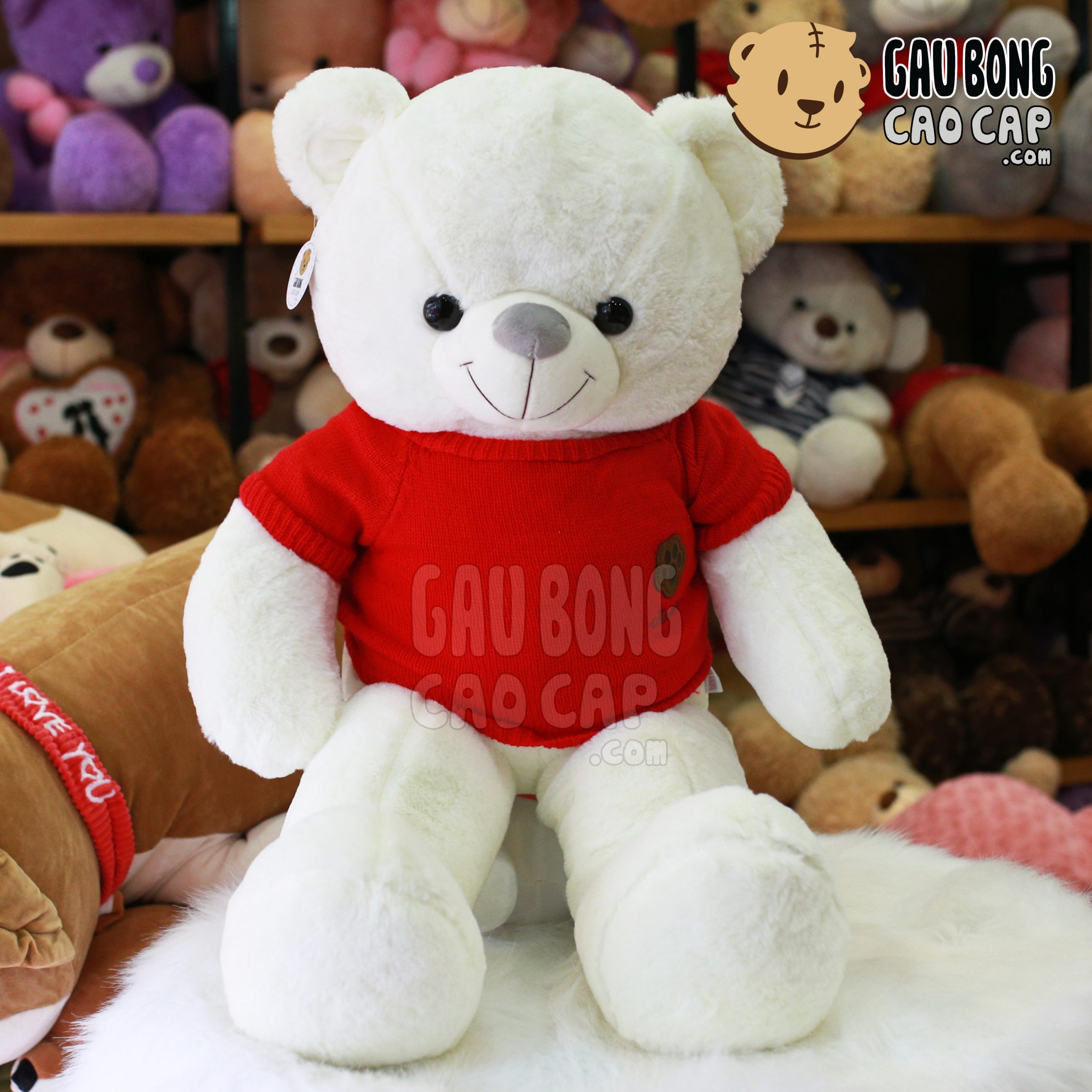 Gấu Teddy áo len chân Gấu
