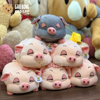 Heo Bông mũm mĩm Mắt Híp Phê Cần
