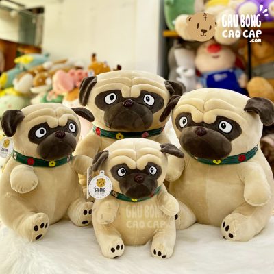 Chó Bông mặt xệ ngồi đeo khăn