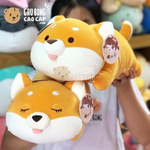 Chó Shiba Baby nằm Lè Lưỡi