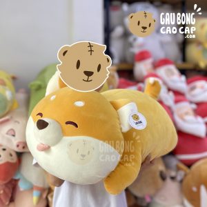 Chó Shiba Baby nằm Lè Lưỡi