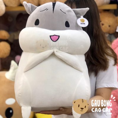 Chuột Bông Hamster lông mịn đứng giơ tay