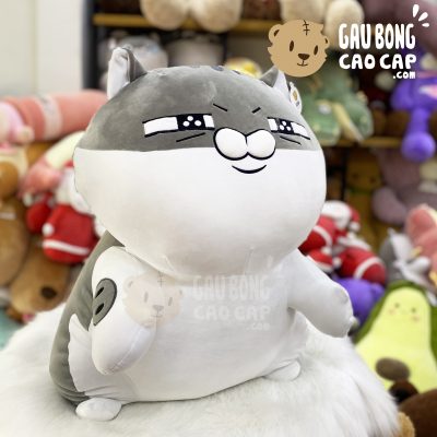 Mèo Bông Ami đứng lông mịn