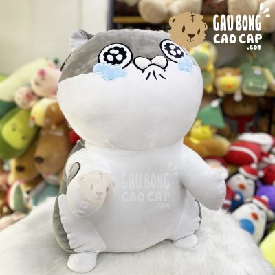 Mèo Bông Ami đứng lông mịn