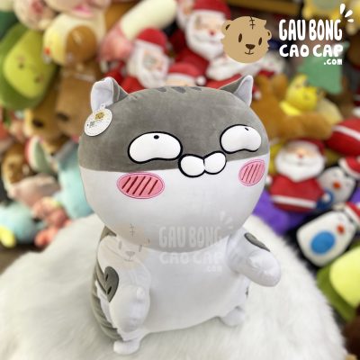 Mèo Bông Ami đứng lông mịn