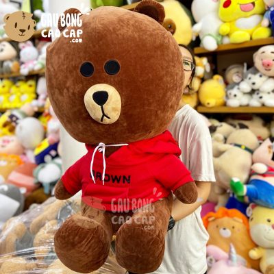 Gấu Brown mặc áo Hoodie