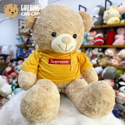 Gấu Teddy lông xoắn mặc áo Hoodie