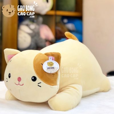 Mèo Bông nằm đuôi vàng lông mịn