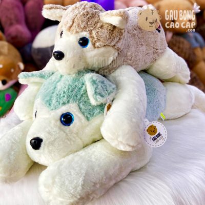 Chó Bông Husky lông tơ mịn mông Star