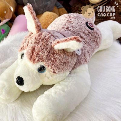 Chó Bông Husky lông tơ mịn mông Star