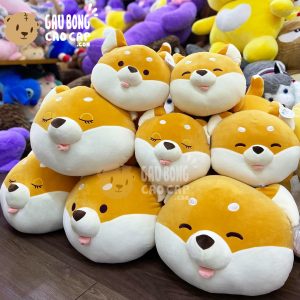 Chó Shiba Baby nằm Lè Lưỡi