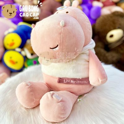 Hà Mã bông Ngồi mặc áo Hoodie