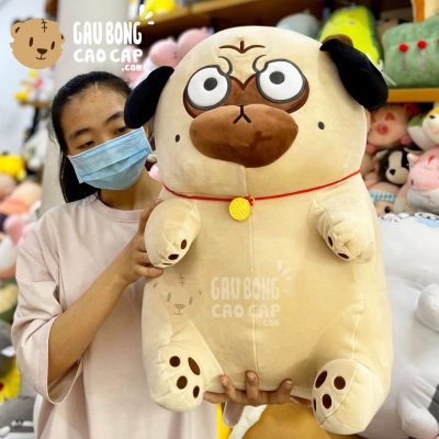 Chó Bông mặt xệ - Chó Bông Nô Tài giơ 2 chân trước