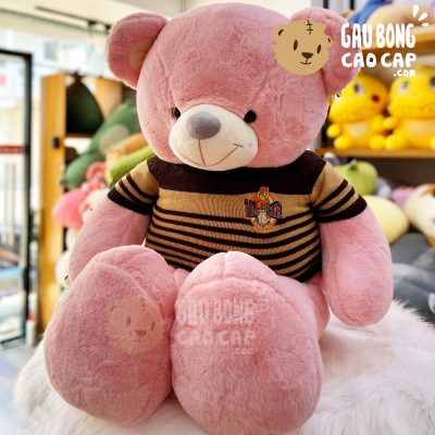Gấu Teddy lông Smooth mặc áo len Sọc