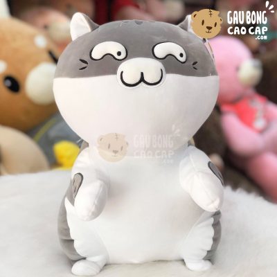 Mèo Bông Ami đứng lông mịn