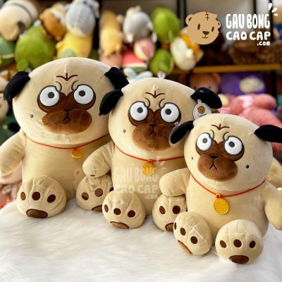 Chó Bông Nô Tài - Chó Bông mặt xệ