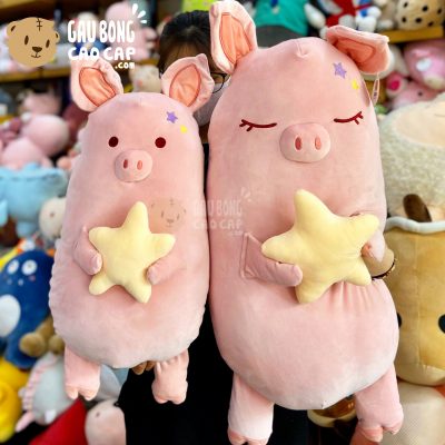 Heo Bông lông mịn đứng ôm Sao