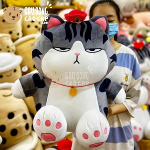 Mèo Bông Hoàng Thượng