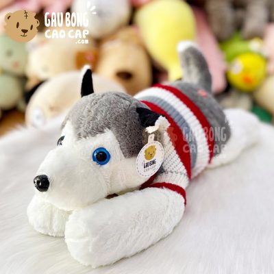 Chó Bông Husky mặc áo len size nhỏ