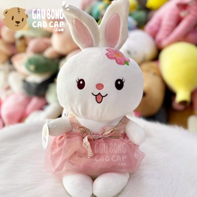 Thỏ Bông mặc Đầm Voan