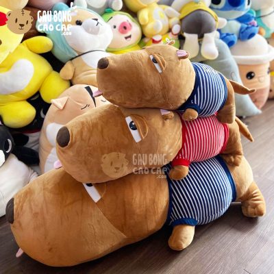 Chó Bông Puco lông mịn