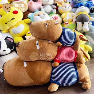 Chó Bông Puco lông mịn