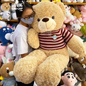 Gấu Teddy áo len cafe sữa