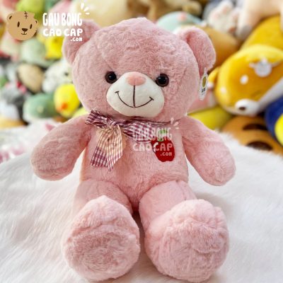 Gấu Teddy Smooth ngực thêu Trái Cây